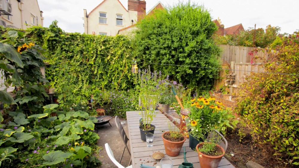 بهترین نهال برای حیاط خانه