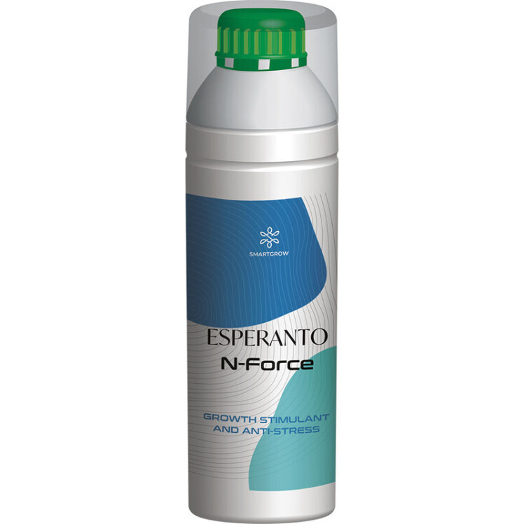 کود اسپرانتو انفورس