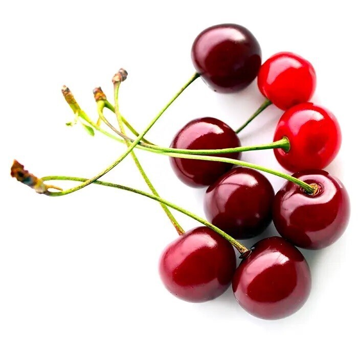 نهال آلبالو مجاری سیگانی