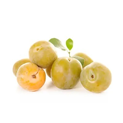 نهال آلو کبرایی