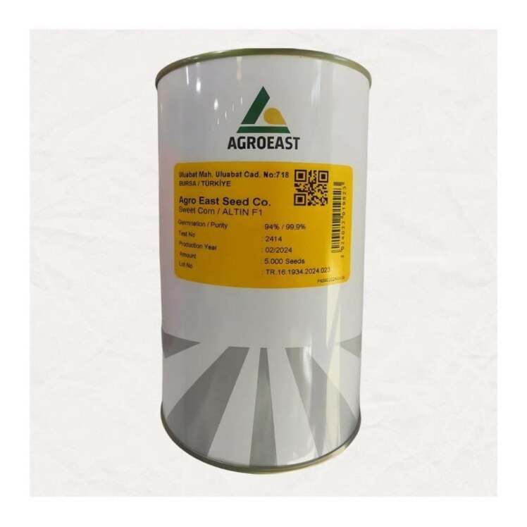 بذر ذرت شیرین آلتین F1