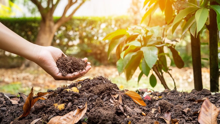 کود کمپوست چیست