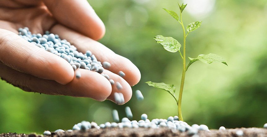 کود آهن برای چه گیاهانی مناسب نیست