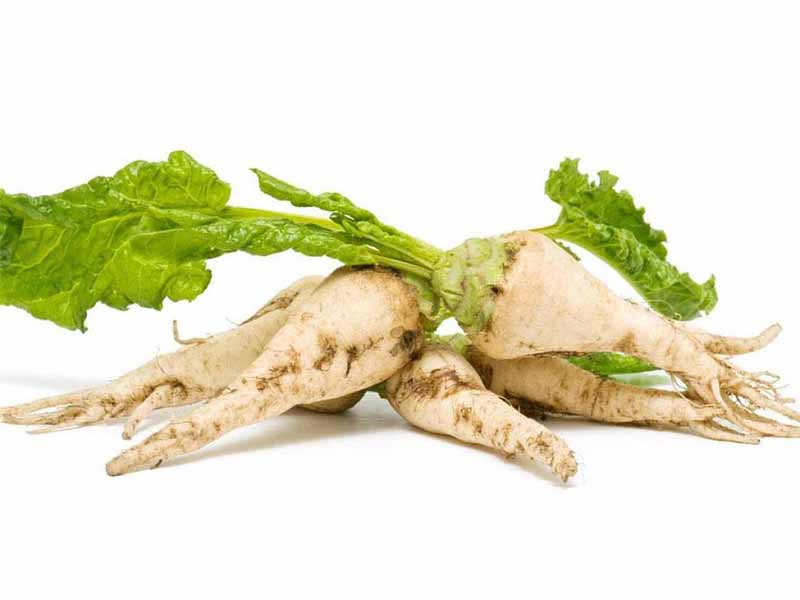 فواید چغندر قند