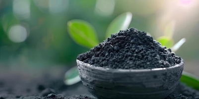 خواص و فواید جلبک دریایی برای گیاه و خاک