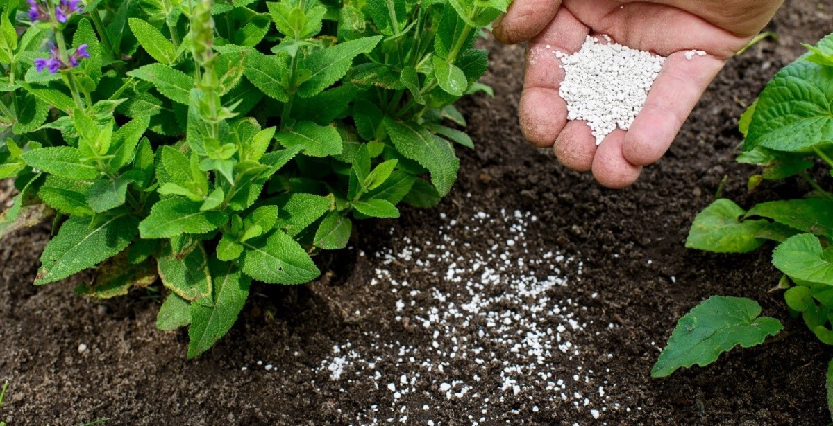 خرید کود کشاورزی خرید کود کشاورزی