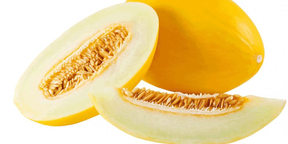  کاشت خربزه در گلدان