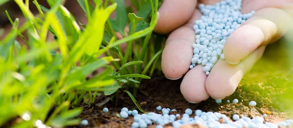 آیا کود شیمیایی فاسد می‌شود