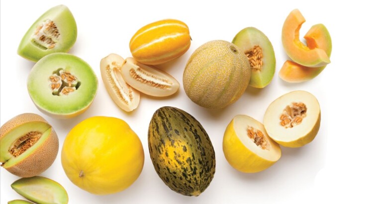 مقایسه و تفاوت خربزه و طالبی و ملون