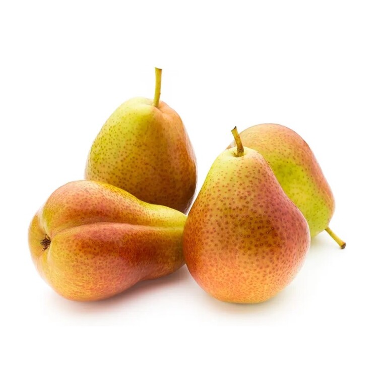 نهال گلابی اسپادانا