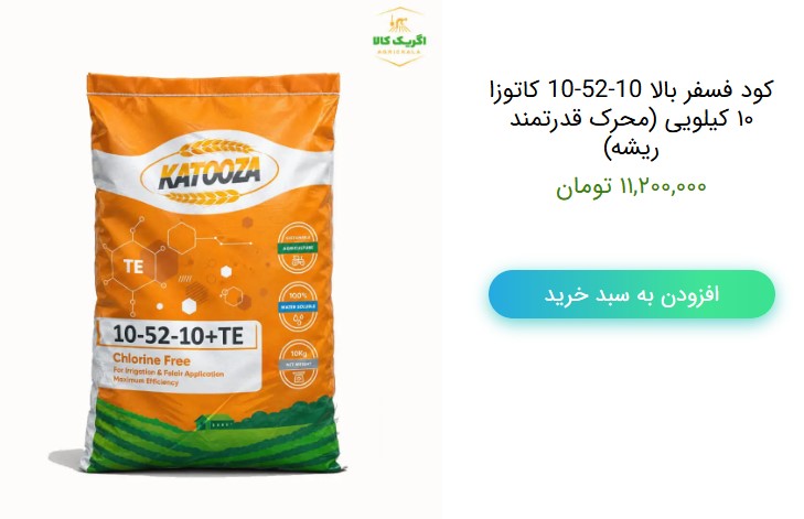 کود فسفر بالا