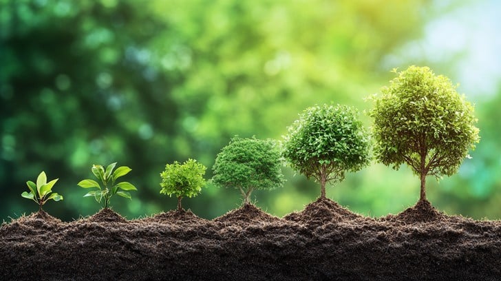 راه های افزایش رشد درخت