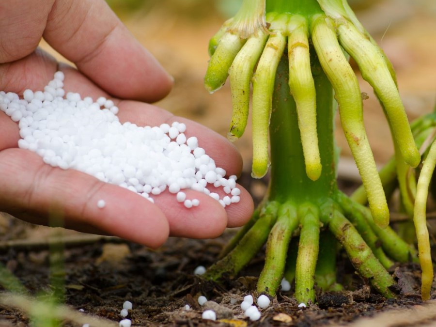 فواید اوره برای درخت