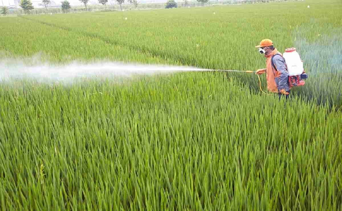 نحوه سمپاش دستی