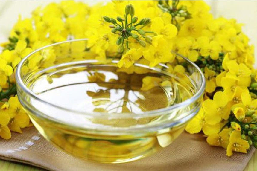 خواص روغن کلزا