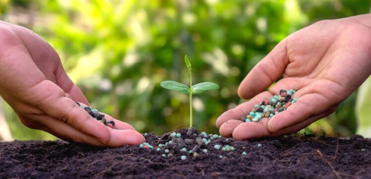 مقایسه و تفاوت کود حیوانی و شیمیایی (کدوم بهتره؟)