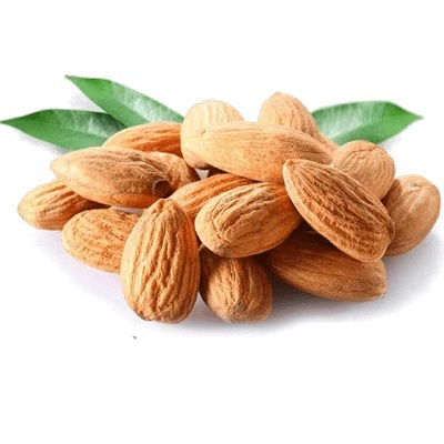 نهال بادام تونو