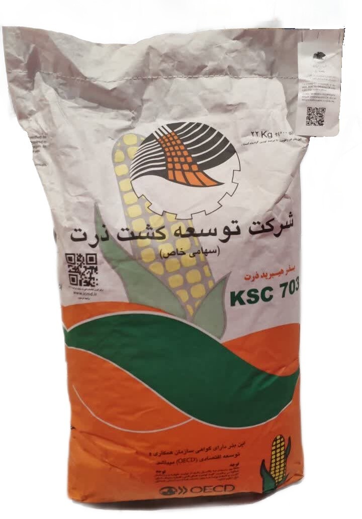 بذر ذرت 703
