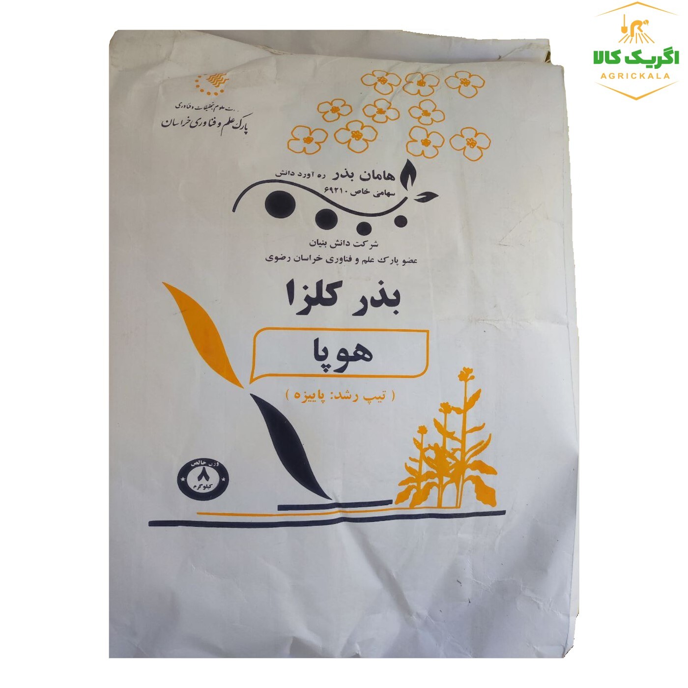  بذر کلزا رقم هوپا 