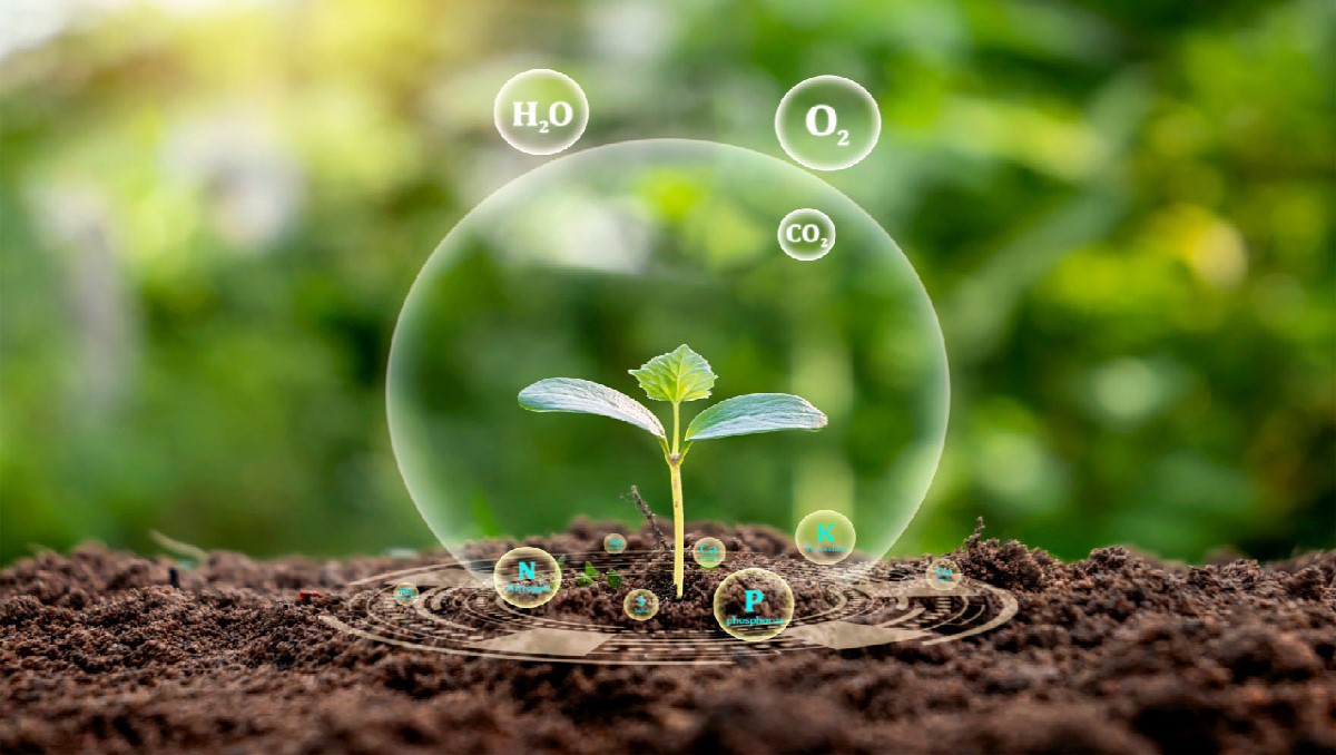 تقویت خاک باغچه