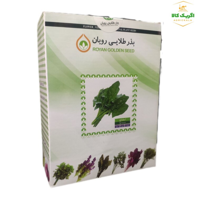 اسفناج یک کیلویی