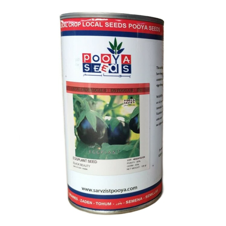 بذر بادمجان دلمه بلک بیوتی