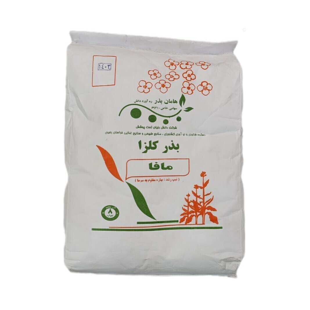 بذر کلزا رقم مافا
