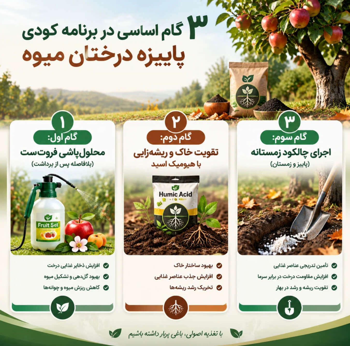  برنامه کودی پاییزه درختان میوه