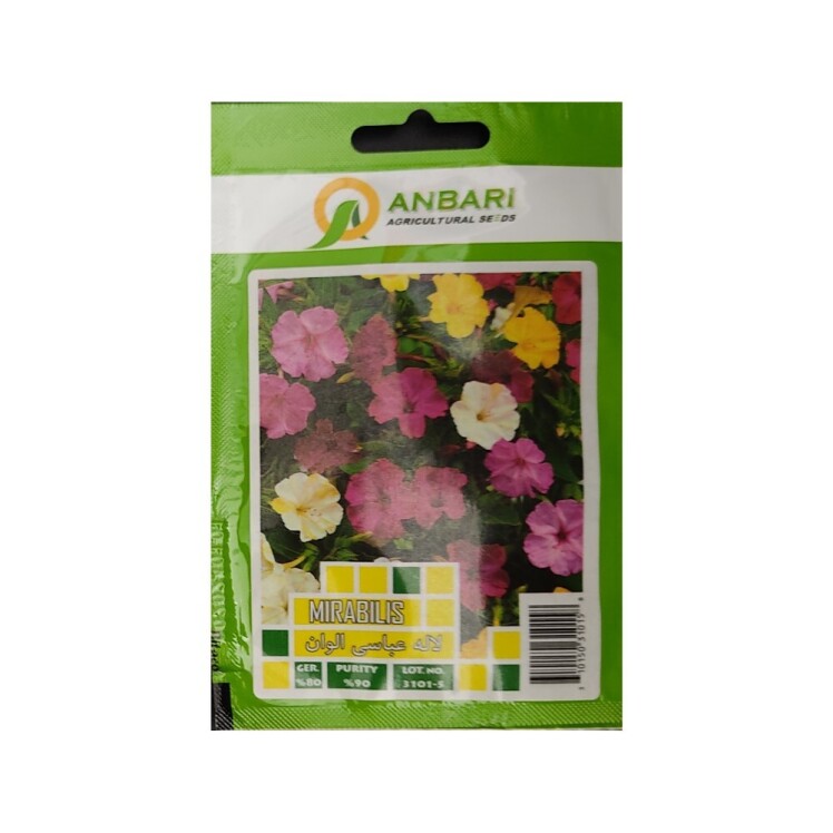 بذر لاله عباسی الوان