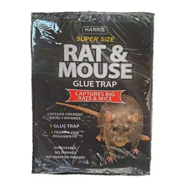 چسب موش کتابی هریس