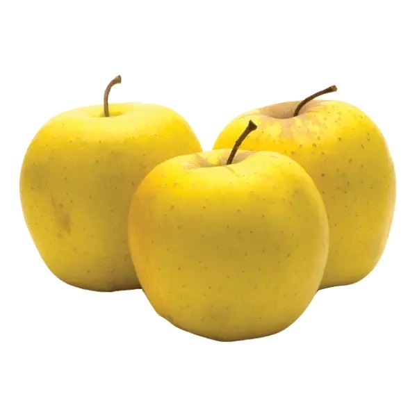 نهال سیب زرد