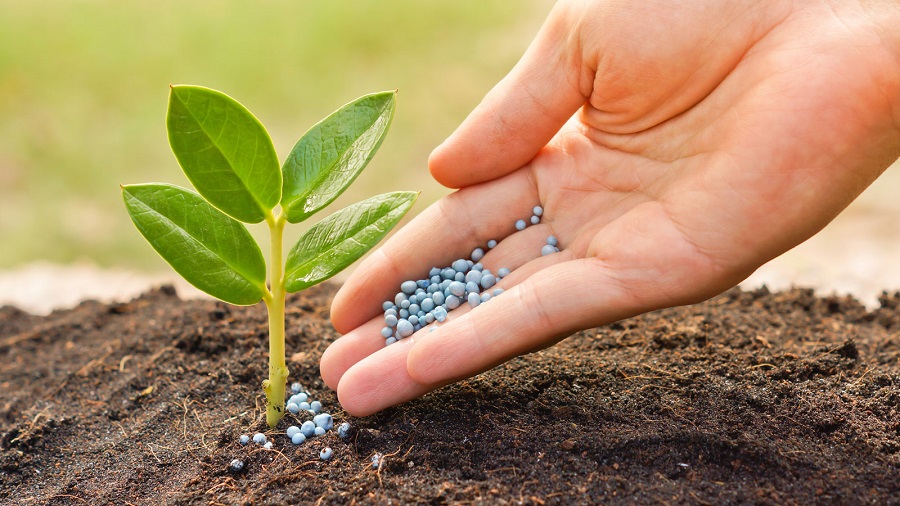 کود پرک چیست