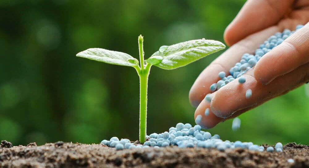 کامل ترین کود کشاورزی چیست